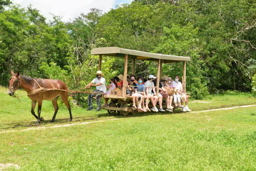 Henequen Plantation Estate Tour with Snack