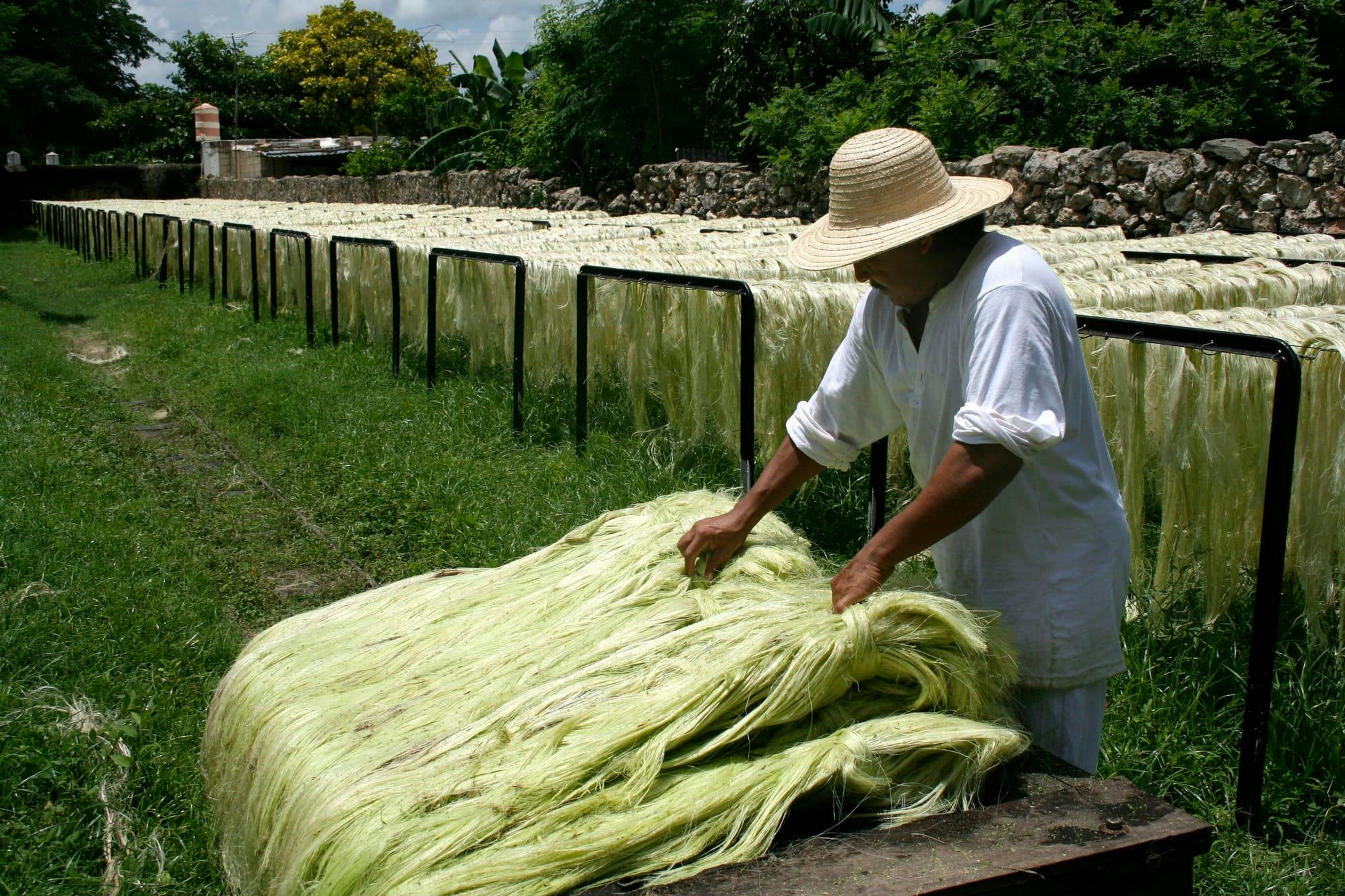 Henequen Plantation Estate Tour with Lunch