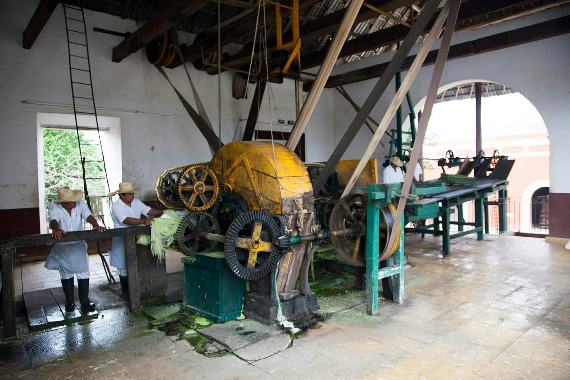 Henequen Plantation Estate Tour with Snack