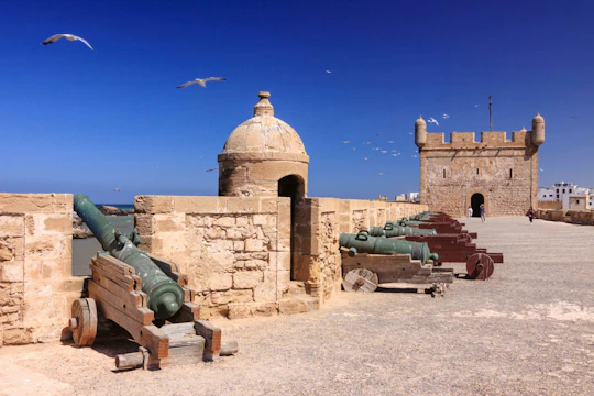 Full-day guided tour of Essaouira from Marrakech