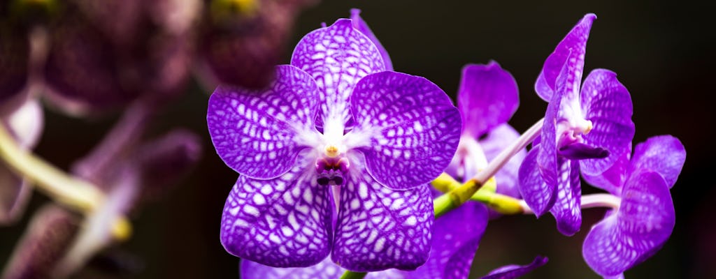Der Botanische Garten von Kreta und das Dorf Spili von Plakias aus