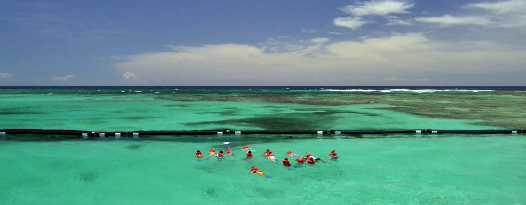 Punta Cana Buggy, BBQ, and Catamaran Cruise