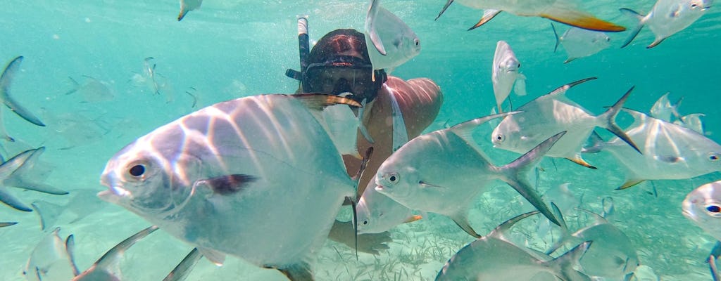 Punta Cana coral reef restoration and snorkelling experience