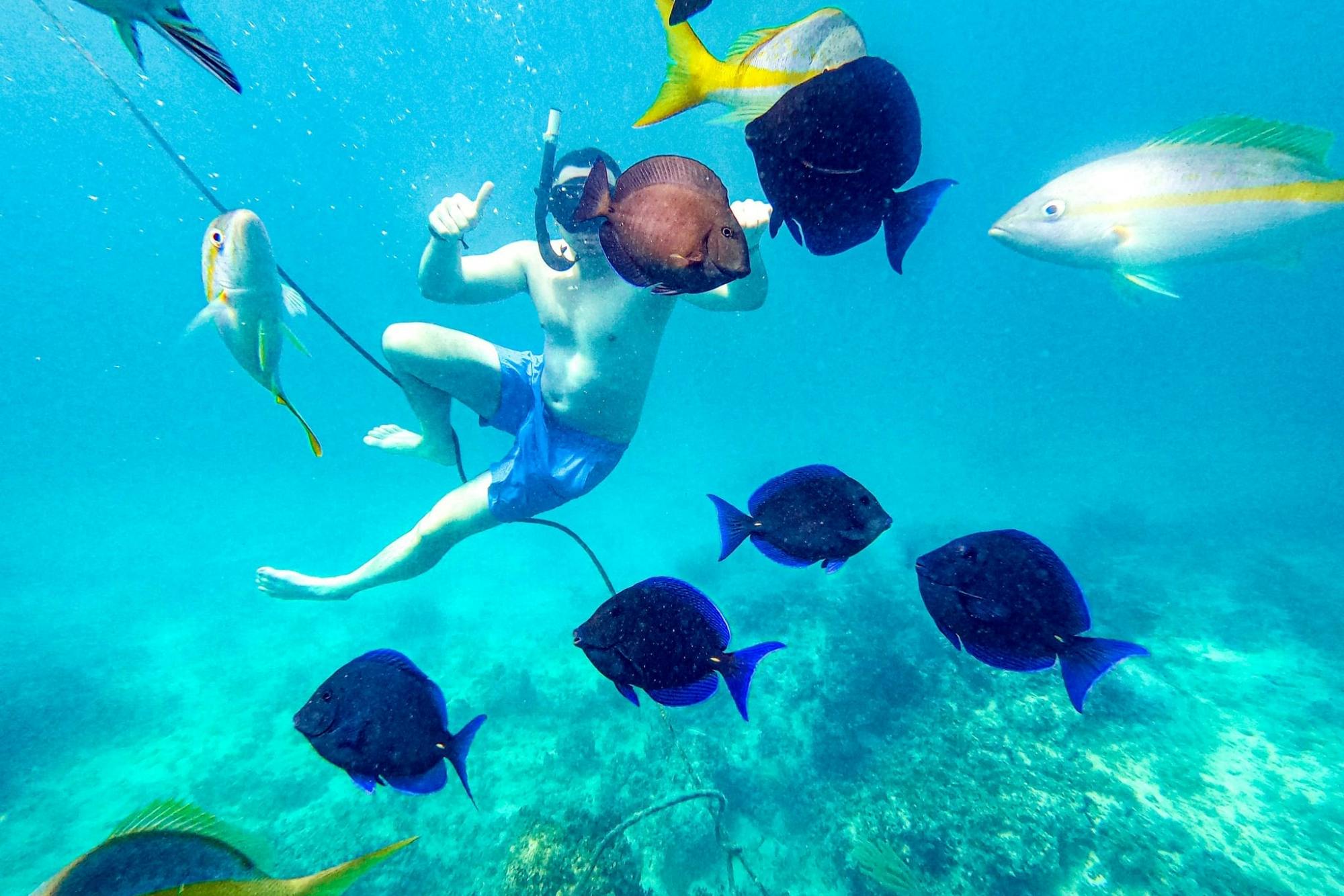 Punta Cana Coral Reef Restoration & Snorkelling Experience