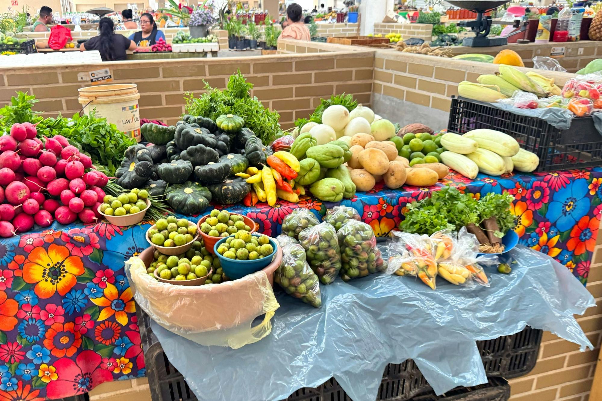 Valladolid Tour with Market Visit and Cenote Swim