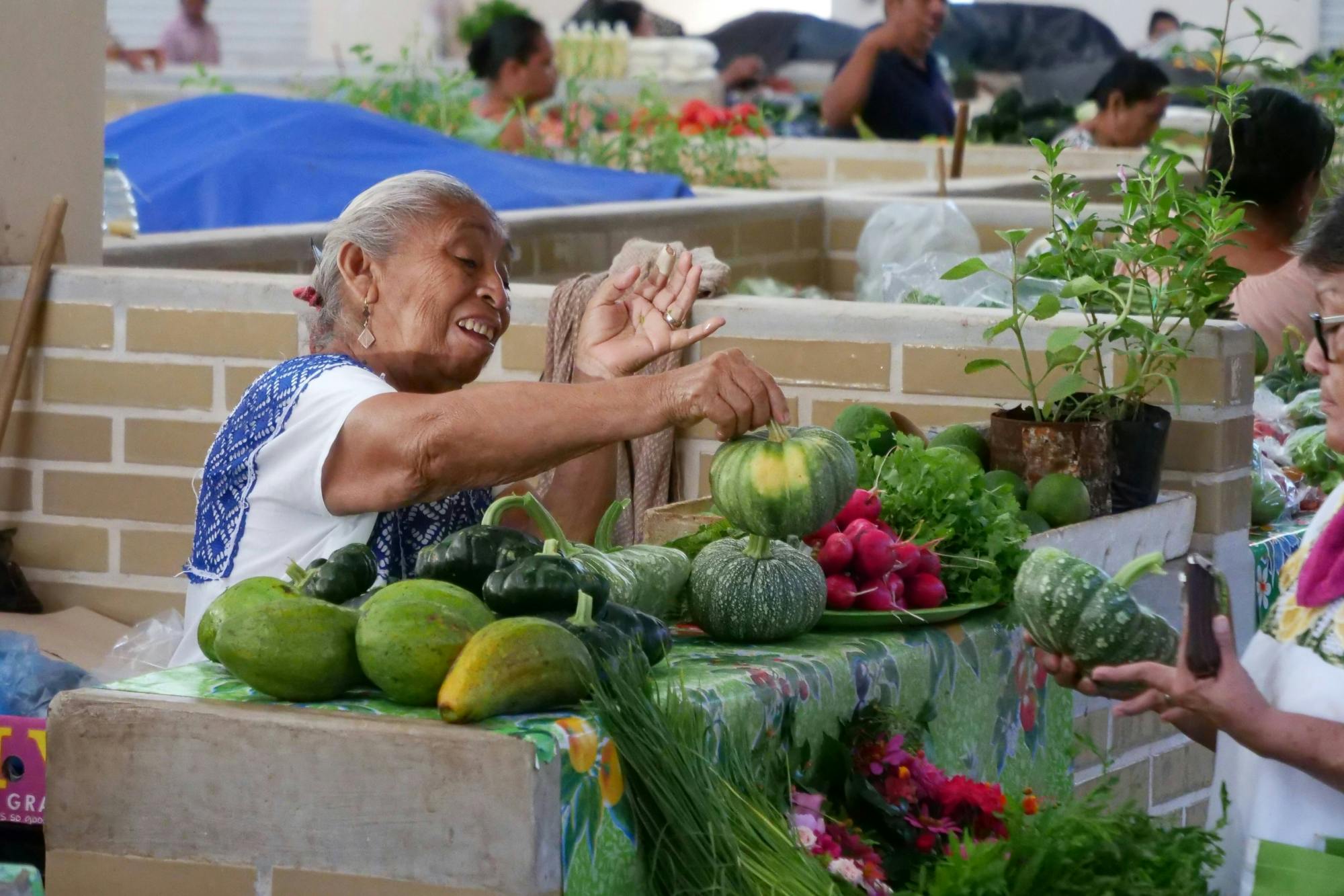 Valladolid Tour with Market Visit and Cenote Swim