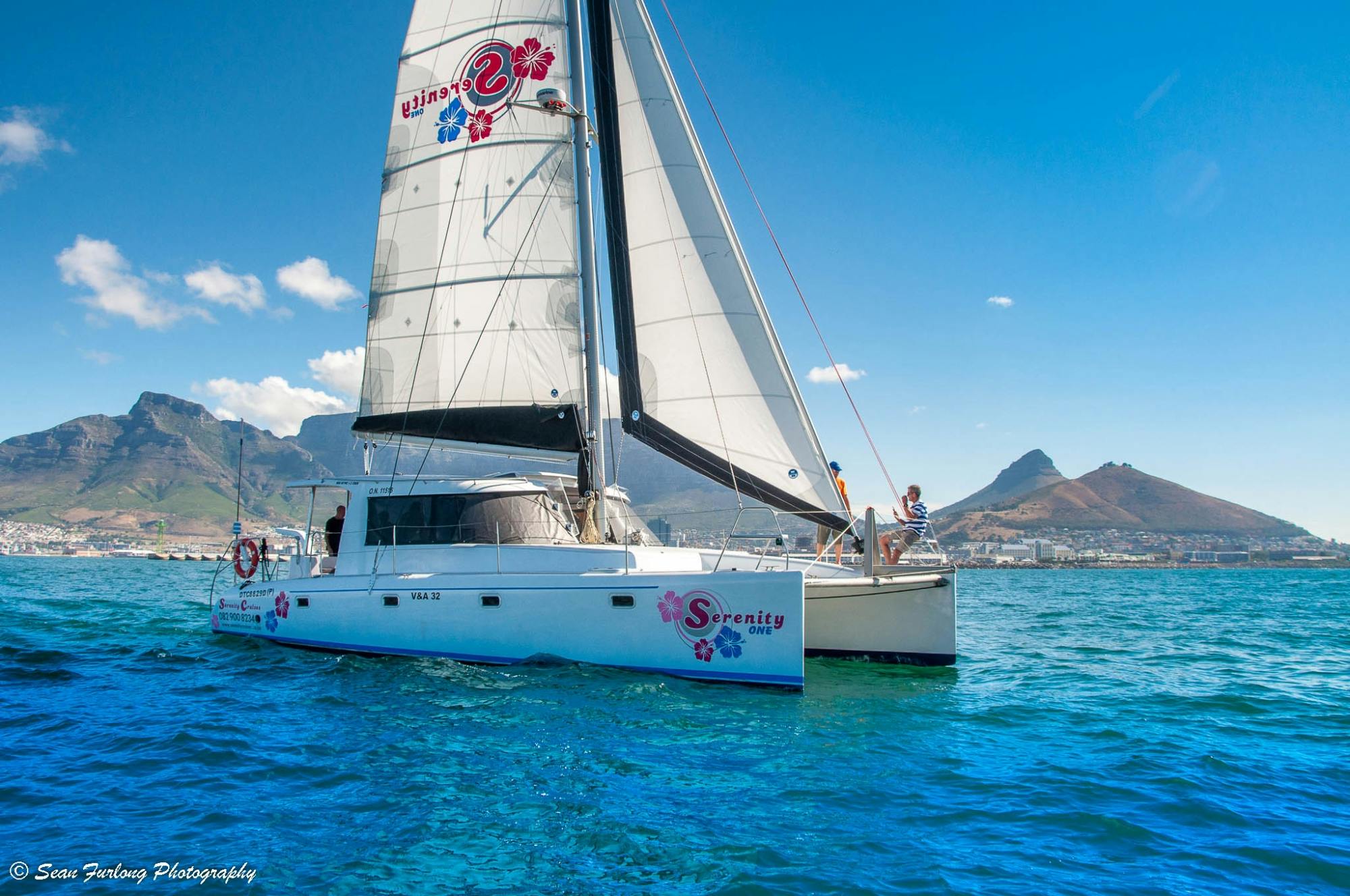 Vela de 1 hora na Baía da Cidade do Cabo a bordo de um catamarã