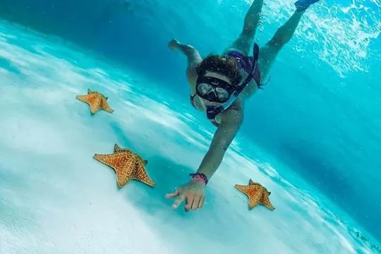 Tour in barca di Cielo, Cielito, Palancar e Colombia Reefs
