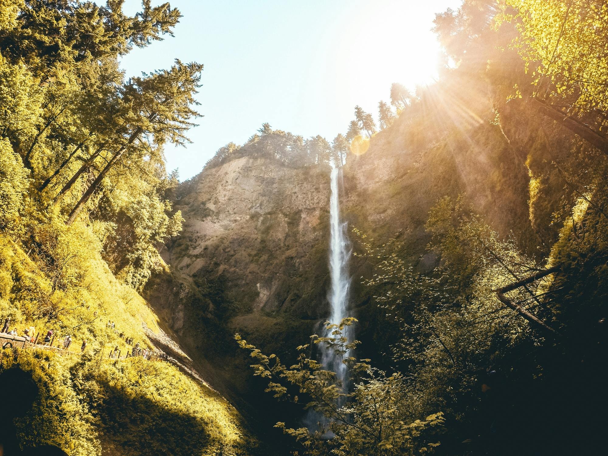 Caminhada de descoberta botânica das cachoeiras Columbia Gorge