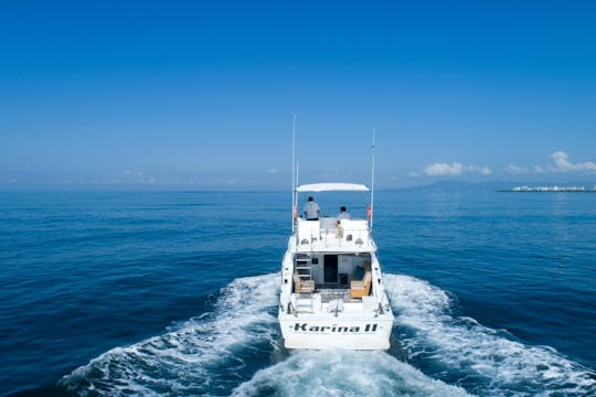 Prywatny czarter łodzi w Puerto Vallarta