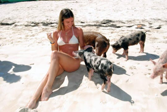 Paradise Beach Resort & Pigs with Catamaran Cruise