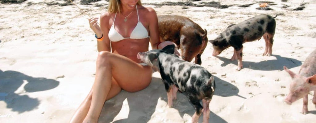 Paradise Beach Resort & Pigs con crucero en catamarán
