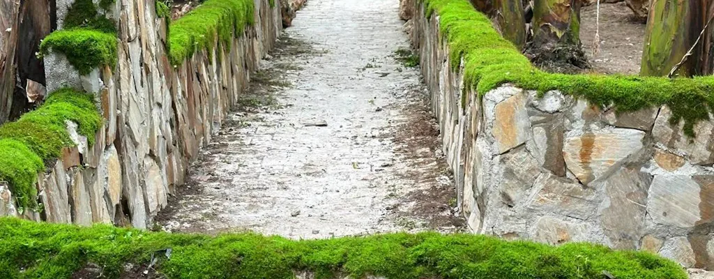 Pompeii ruins with Mount Vesuvius on a full-day guided tour from Rome