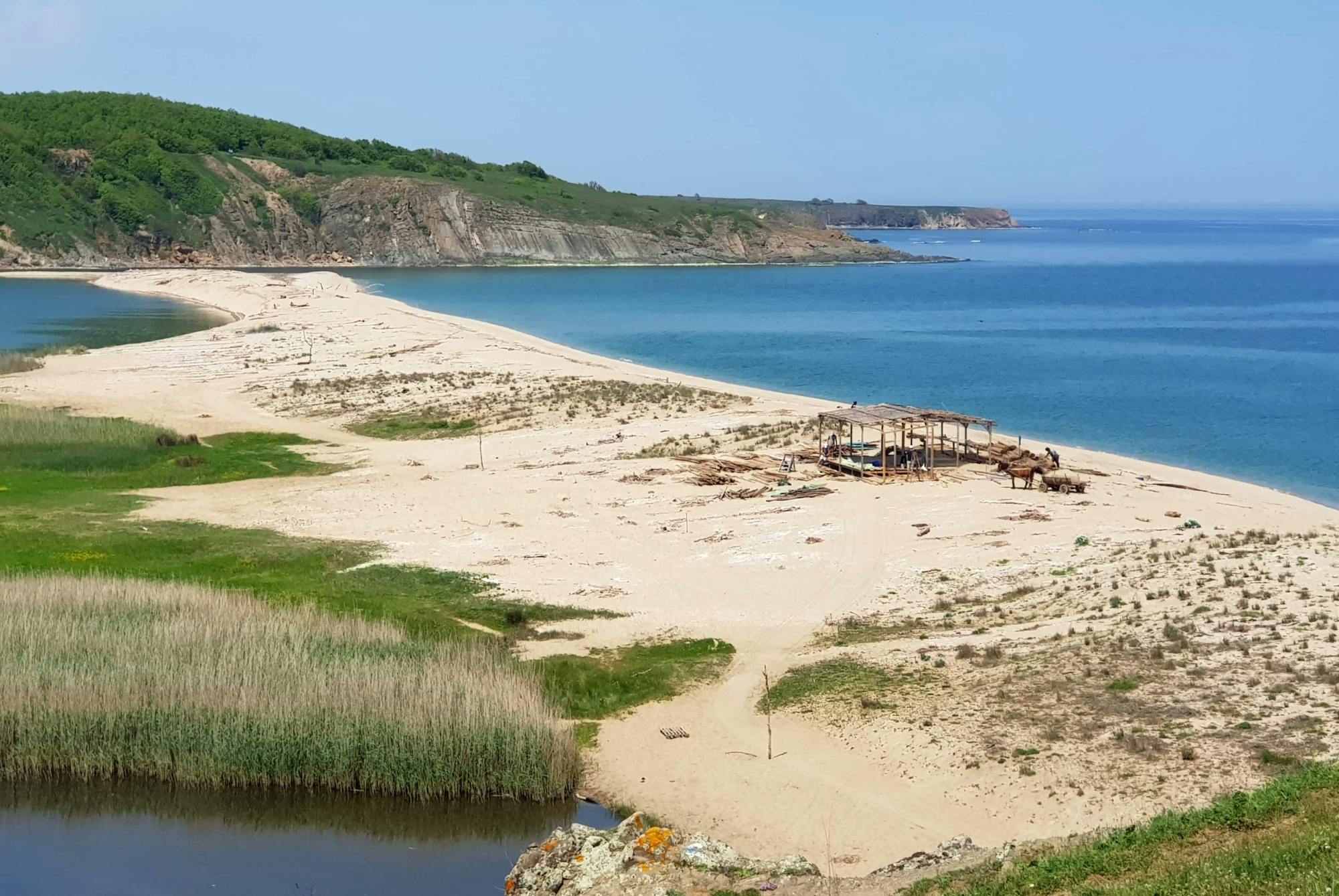 4x4 Photo Safari to Strandzha Nature Reserve with Honey Tasting