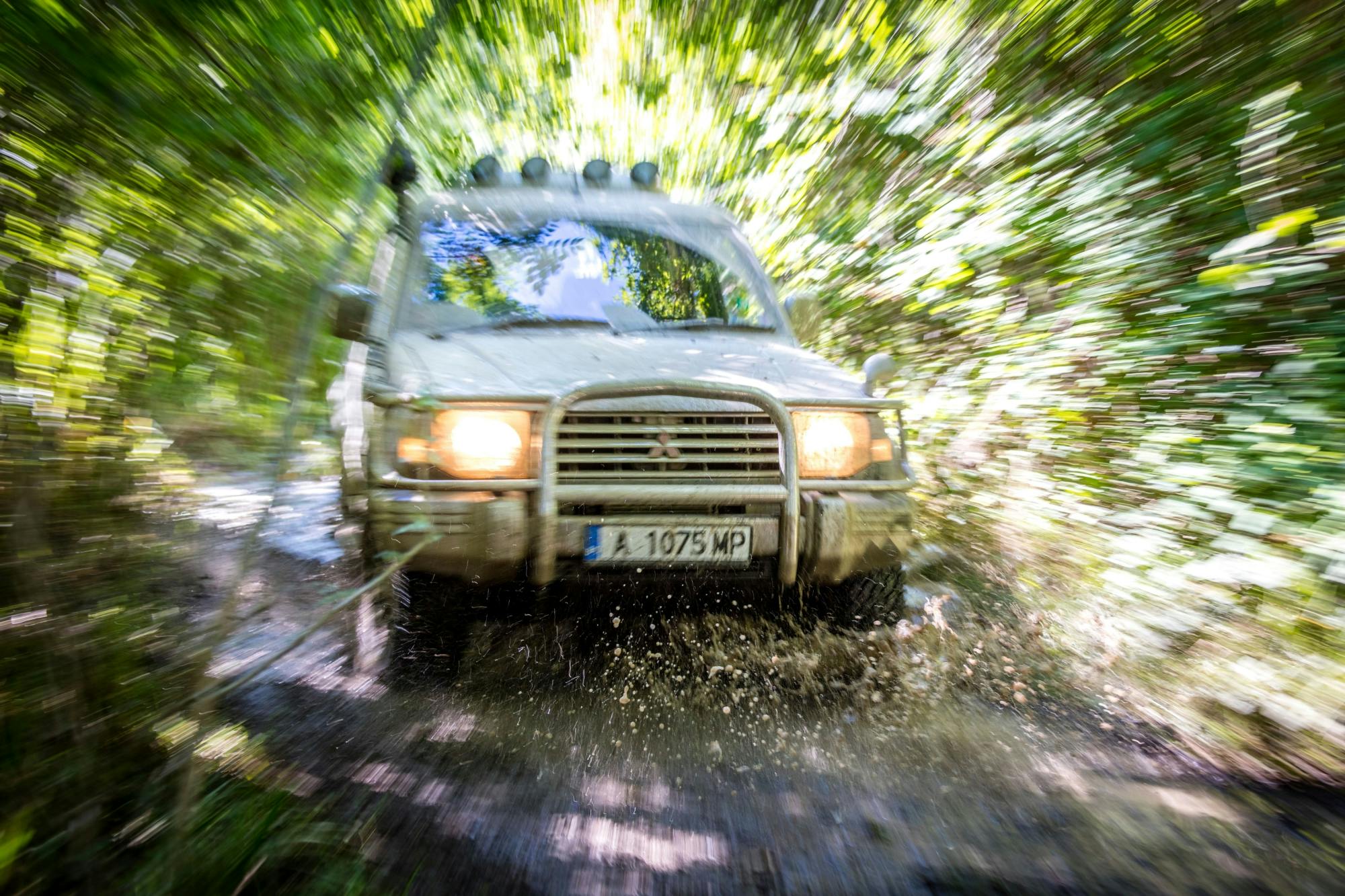 4x4 Photo Safari to Strandzha Nature Reserve with Honey Tasting