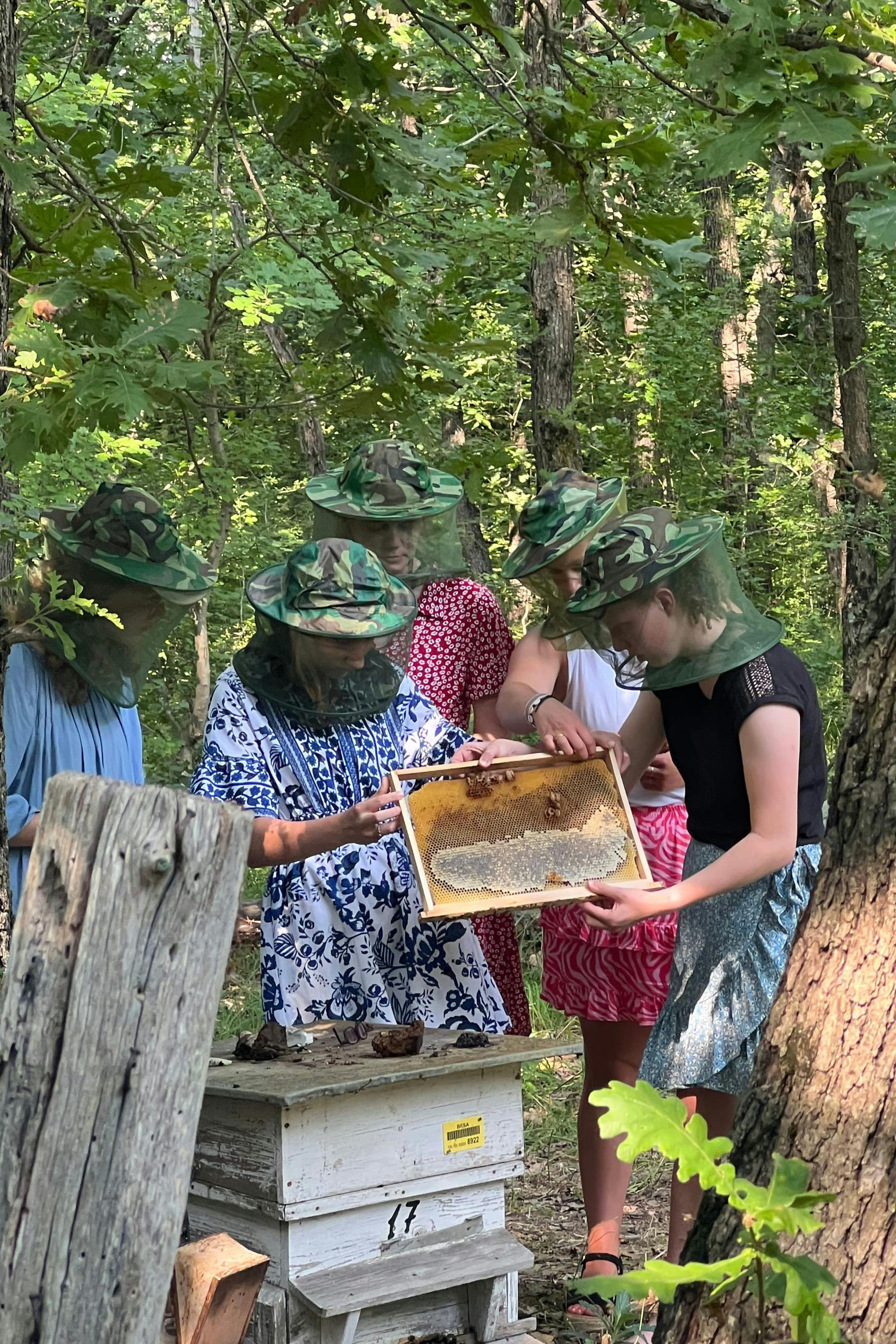 4x4 Photo Safari to Strandzha Nature Reserve with Honey Tasting