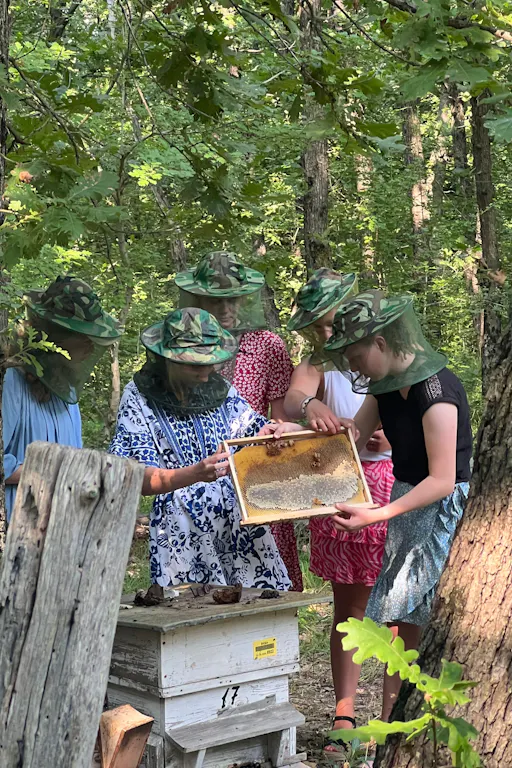 4x4 Photo Safari to Strandzha Nature Reserve with Honey Tasting