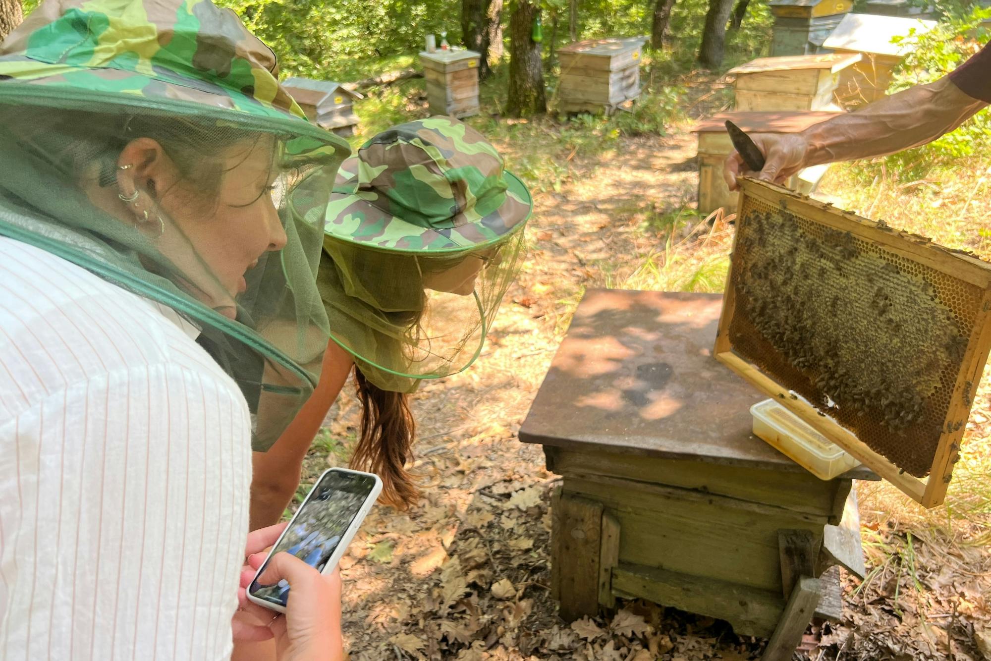 4x4 Photo Safari to Strandzha Nature Reserve with Honey Tasting