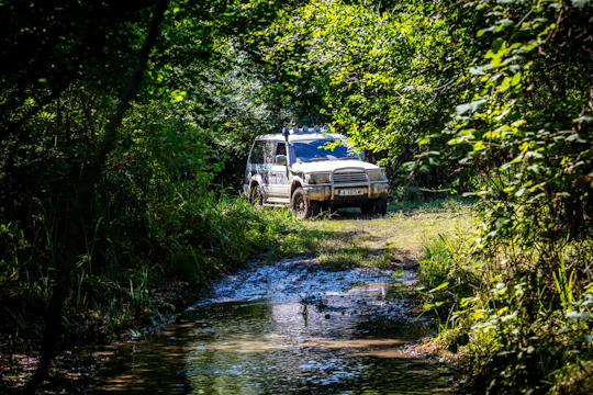 4x4 Photo safari to Strandzha Nature Reserve with honey tasting