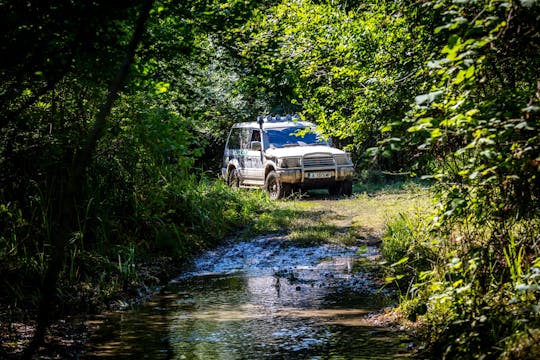 Safari photo en 4x4 dans la réserve naturelle de Strandzha, avec dégustation de miel