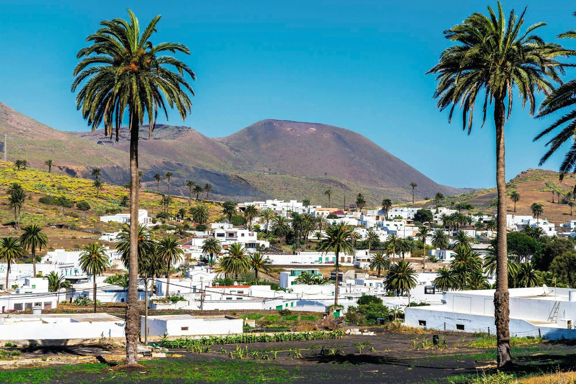 Highlights of Lanzarote Private Tour from Fuerteventura