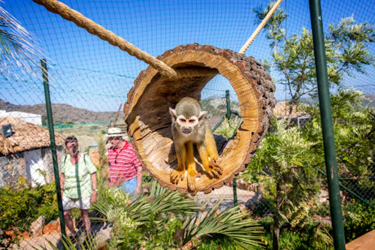 Amazonas Park en tocht met een glasbodemboot