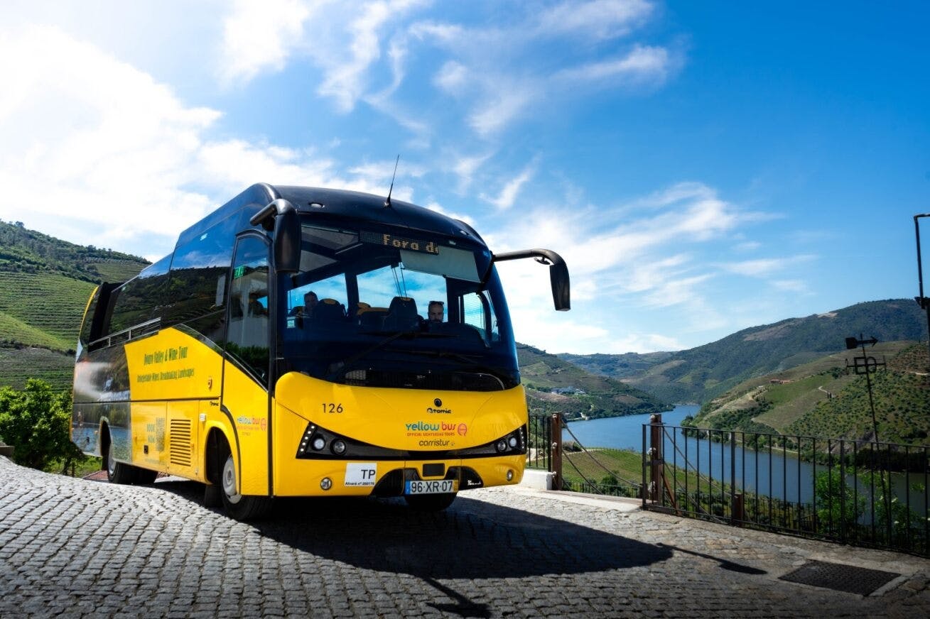 Weinberg mit Weinprobe, Flusskreuzfahrt und Mittagessen im Douro-Tal