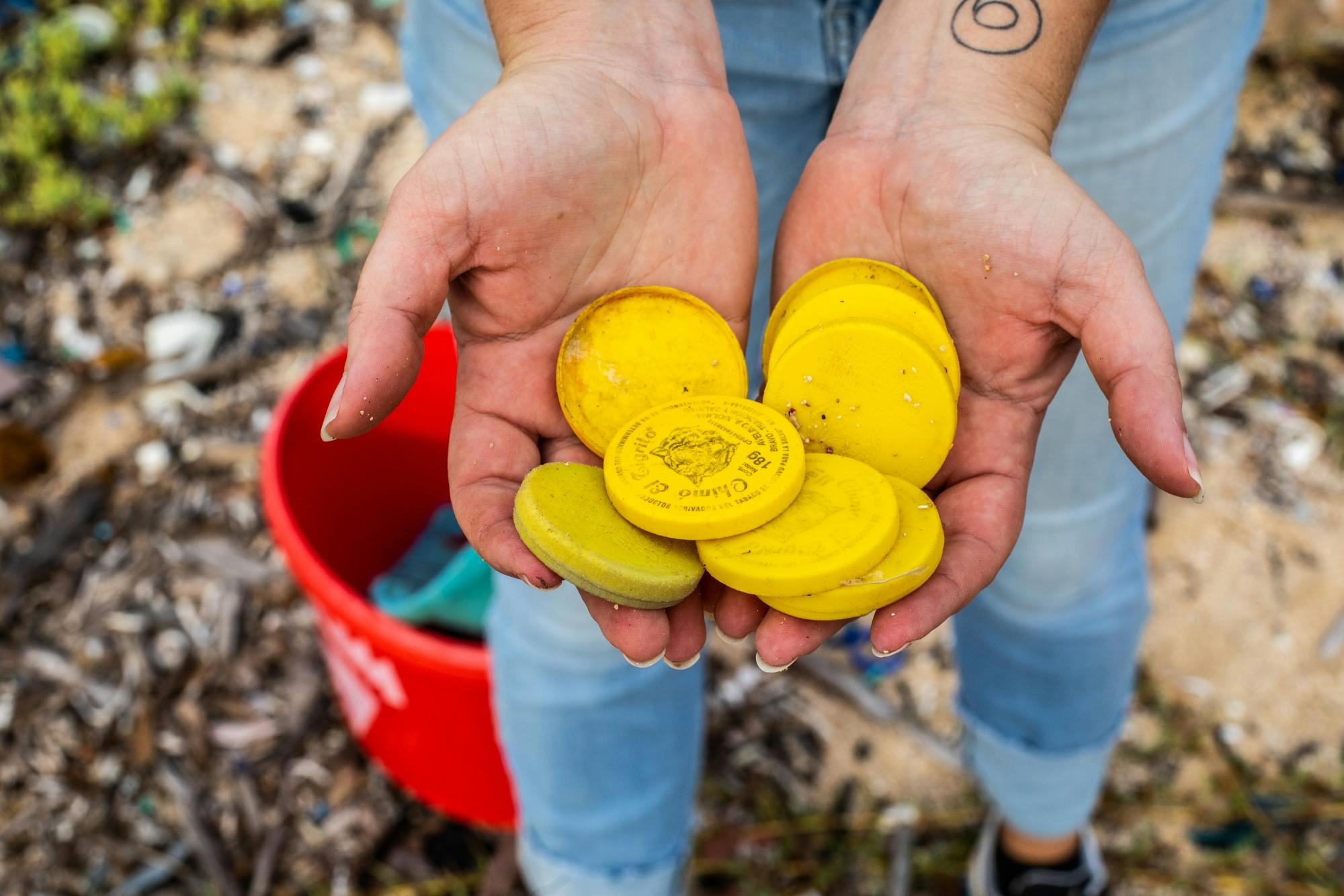 Destination Zero Waste Curaçao Beach Day Experience