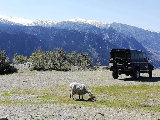 Cretan 4x4 Experience from Chania