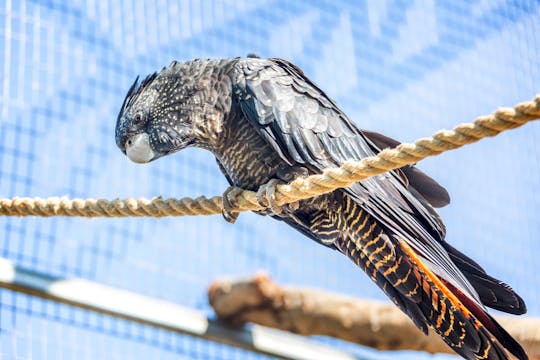 Agios Nikolaos Market & Amazonas Park Nature Reserve Tour