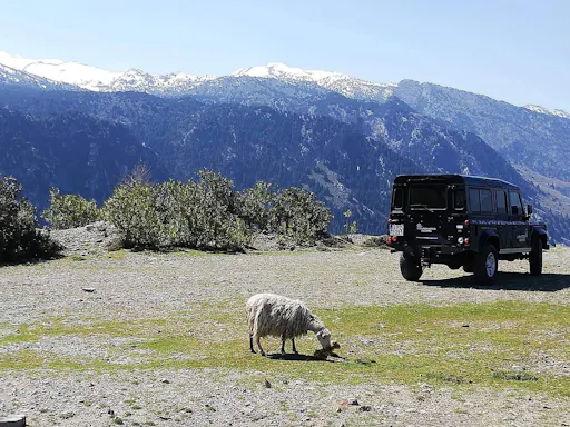 Cretan 4x4 Experience from Chania