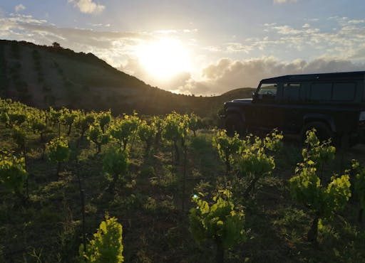 Sunset Safari Tour