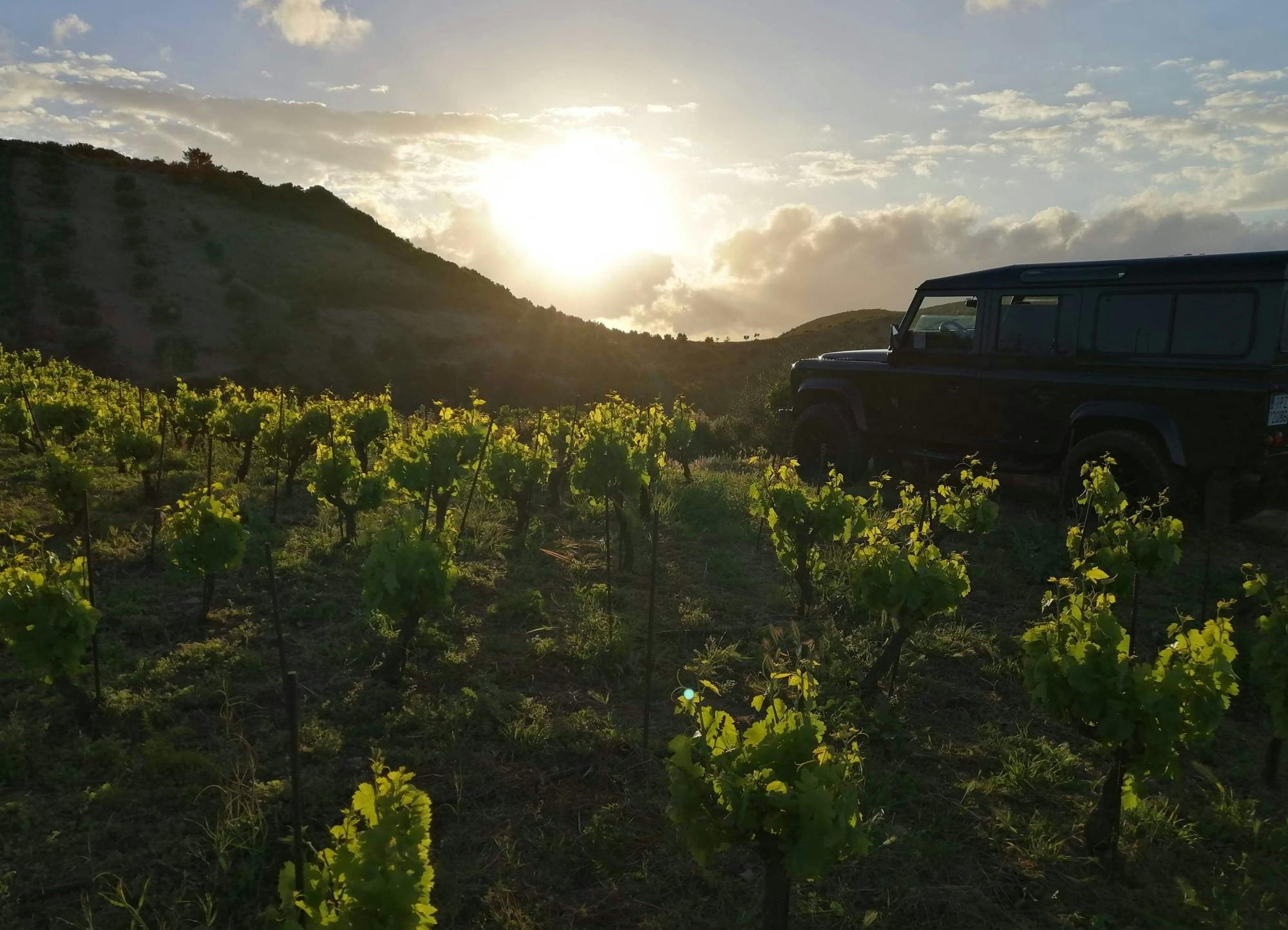 Sunset Safari Tour