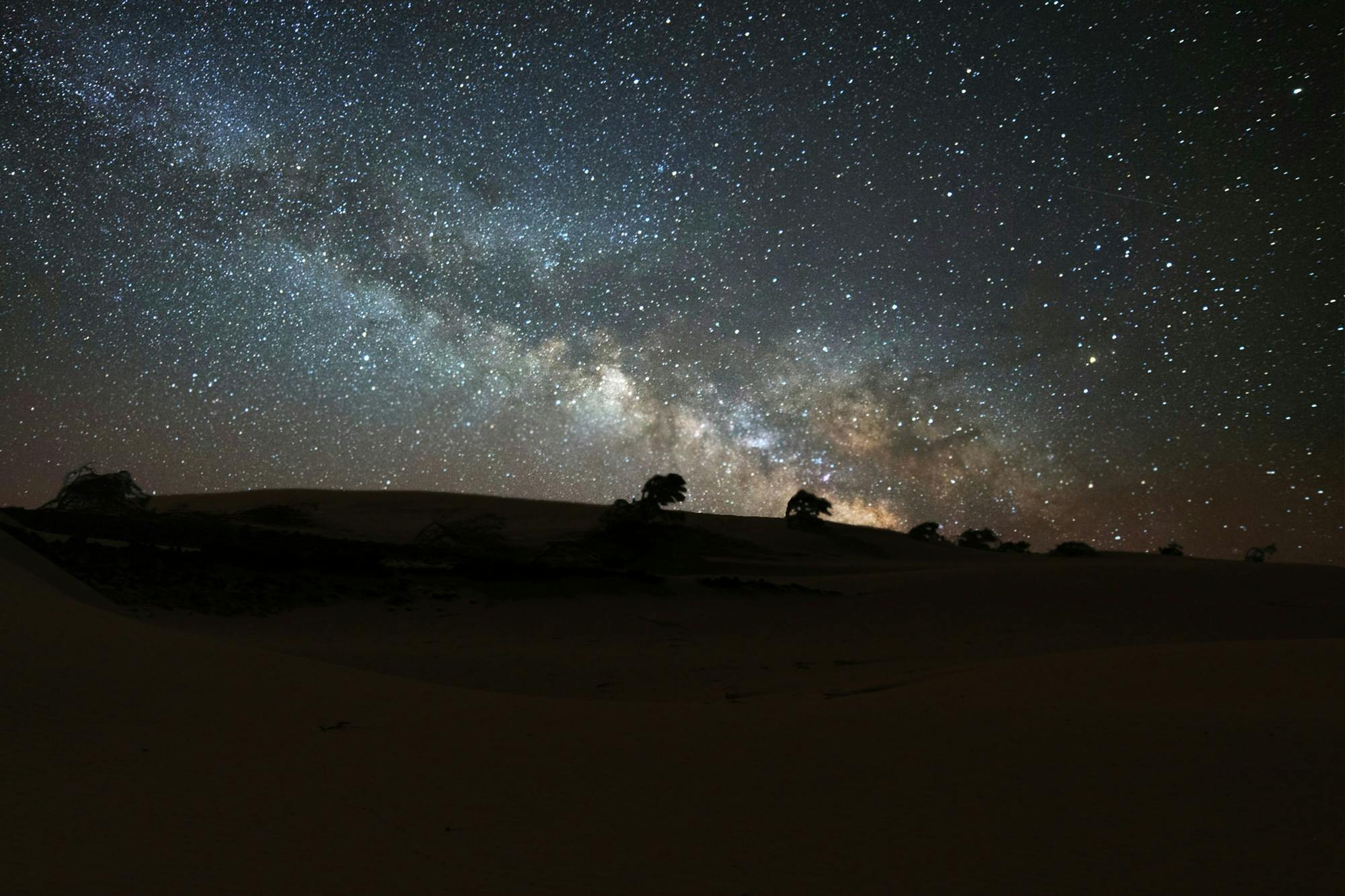 Stargazing Evening at a Beach Restaurant