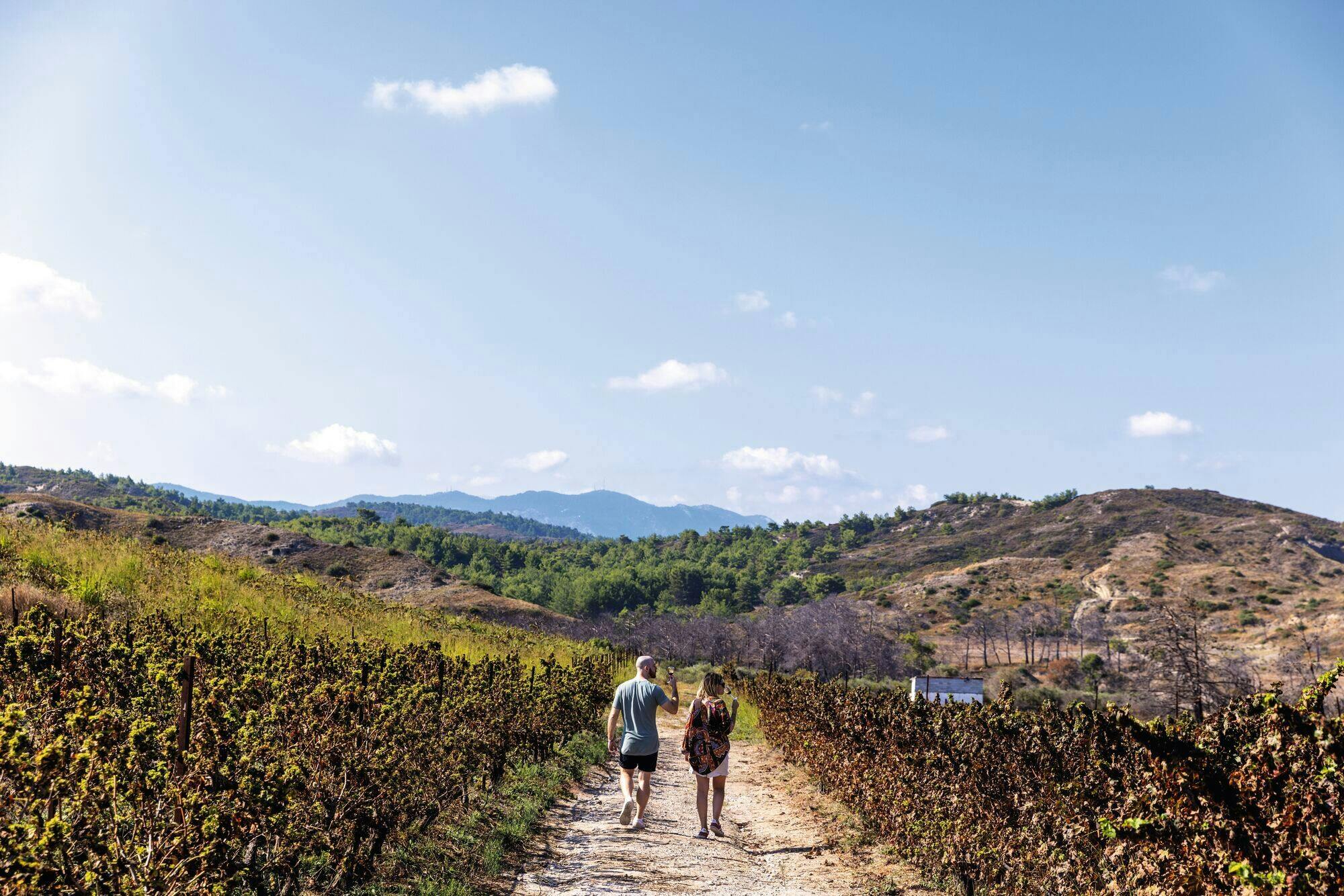 Nat Geo Day Tour : L'histoire du vin dans les îles Canaries