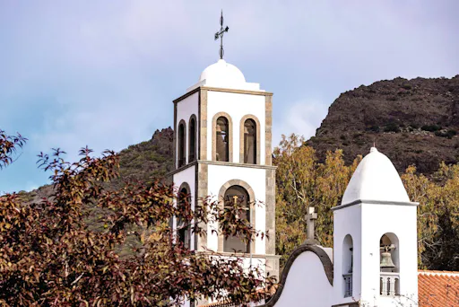 Nat Geo Day Tour: History of Wine in the Canary Islands