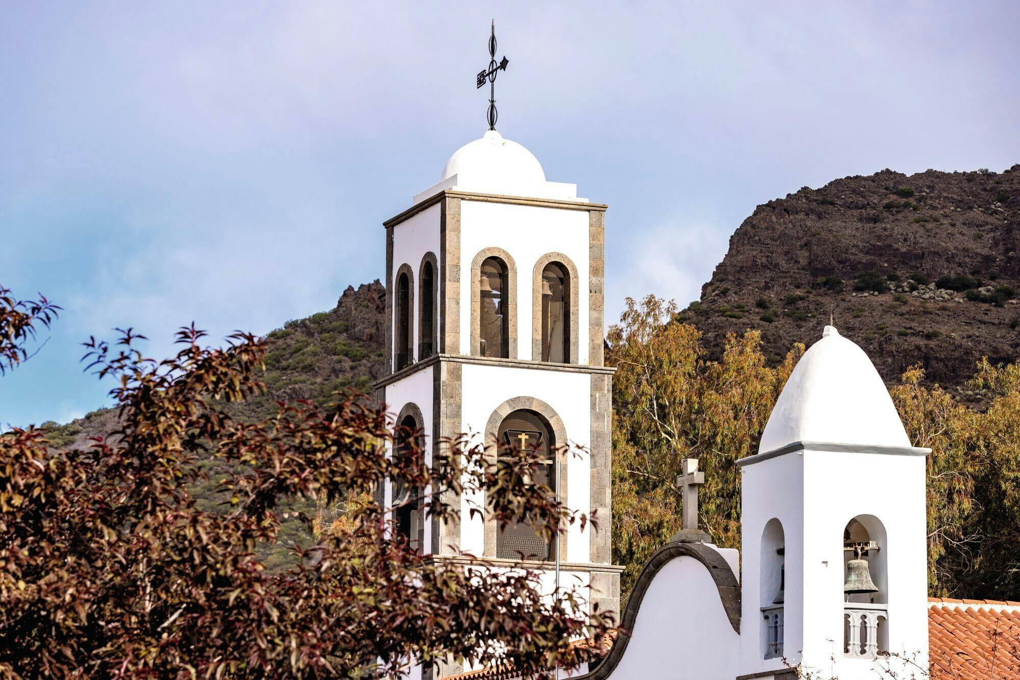 Nat Geo Day Tour: History of Wine in the Canary Islands