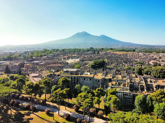 Pompeii archaeological site half-day tour with a local guide and optional transfers
