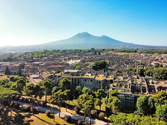 Pompeii half-day tour