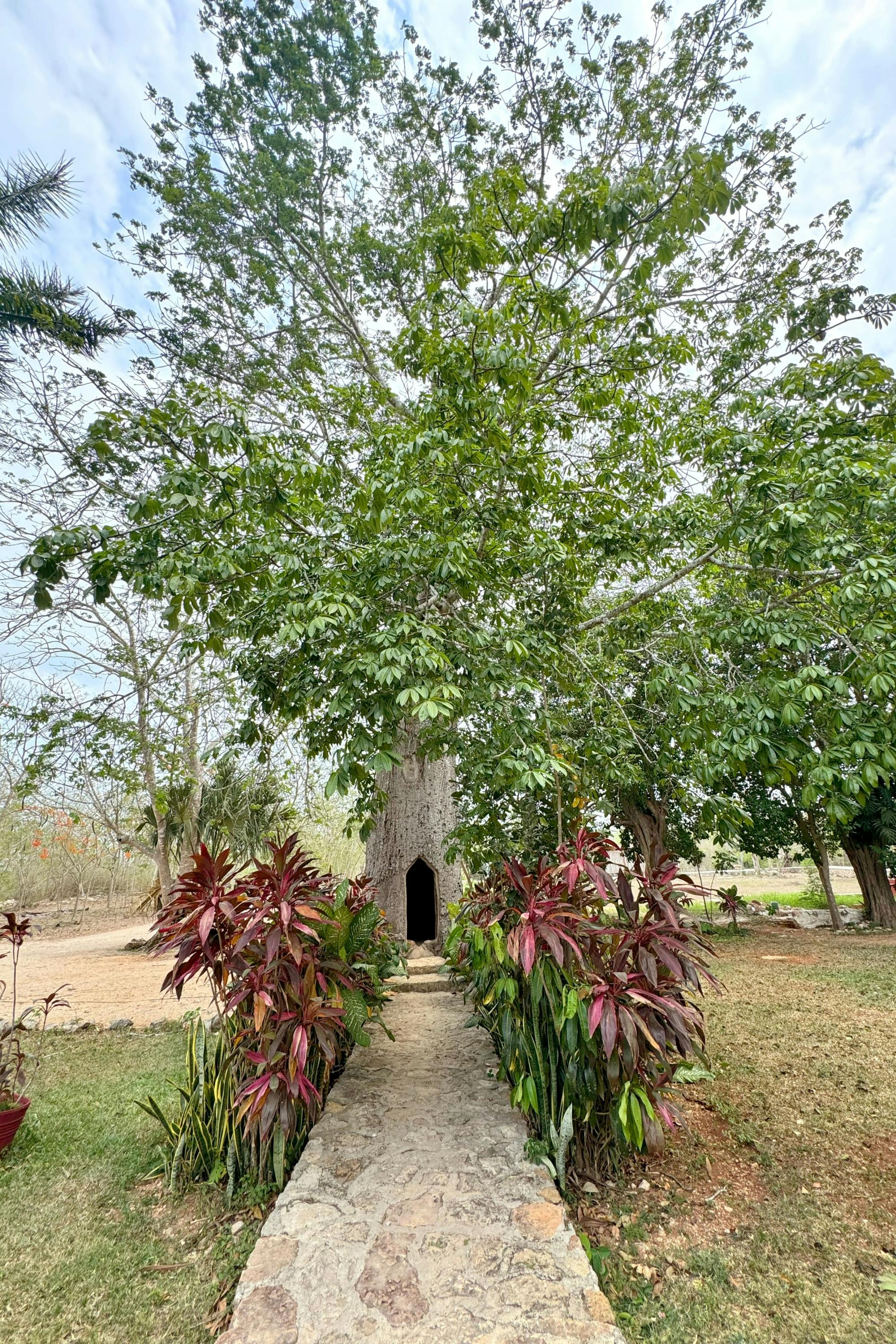 Valladolid Tour with Market Visit and Cenote Swim