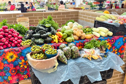 Valladolid Tour with Market Visit and Cenote Swim