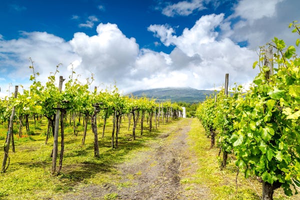 Tour Etna 4x4 e degustazione di vini