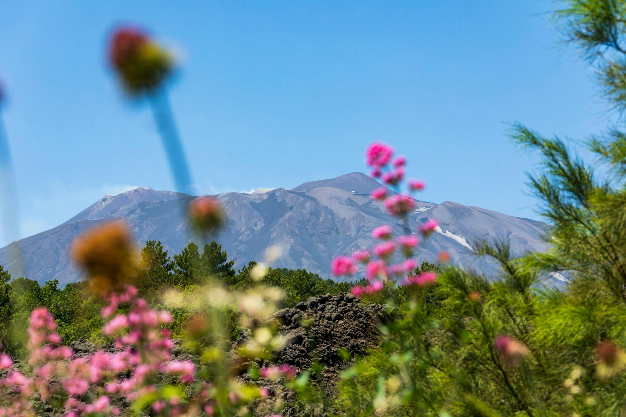 Alcantara Gorge & Mt Etna to 2900m