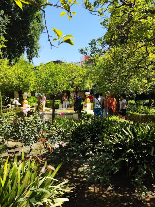 Visita Guiada al Palacio de Dueñas