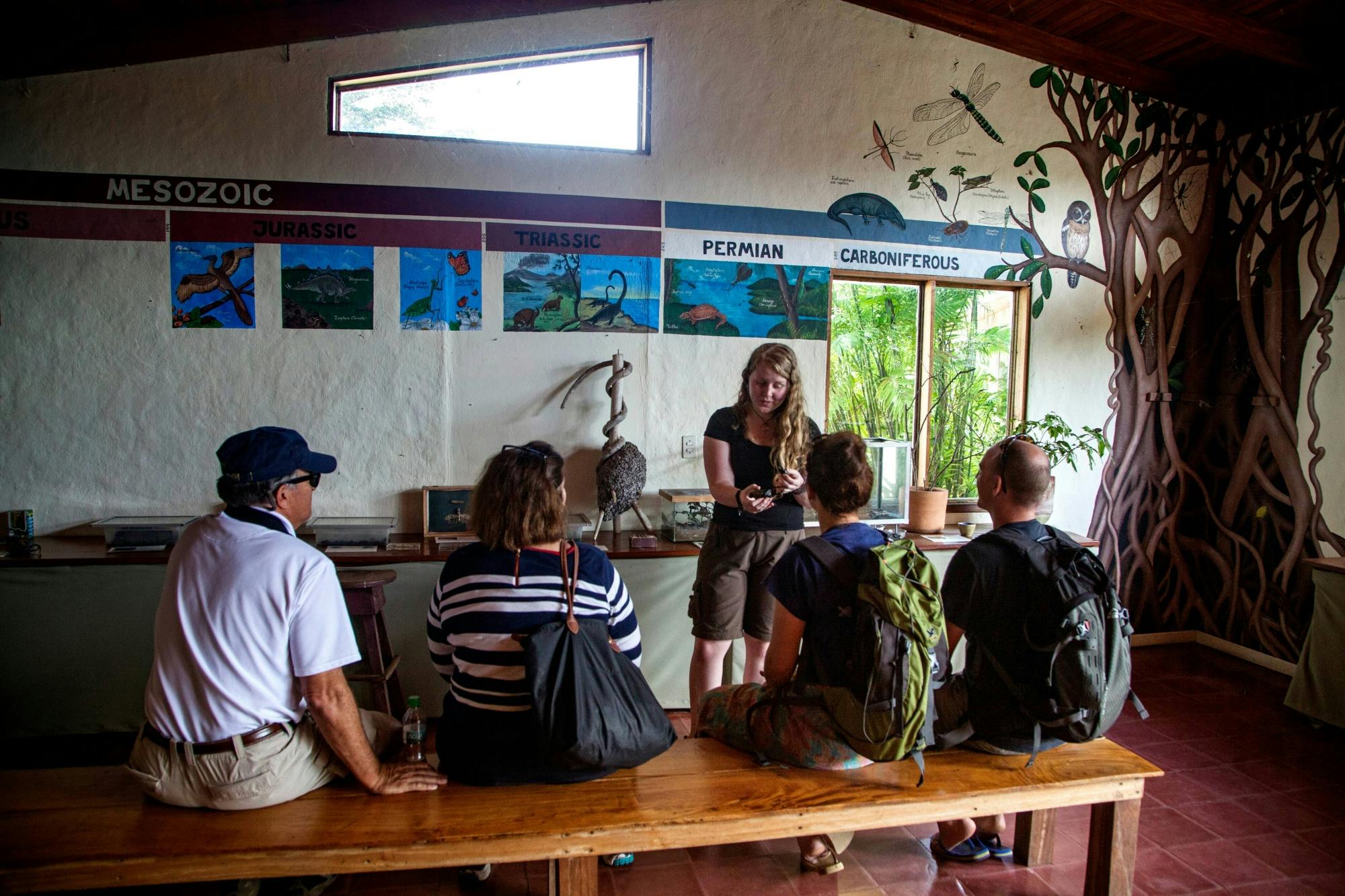 Monteverde Butterfly Garden Ticket