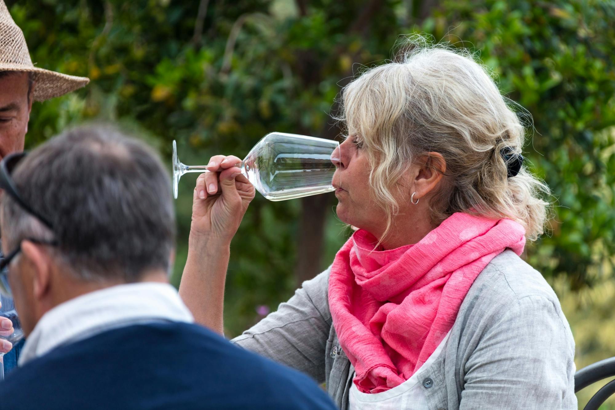 Experiência de degustação e culinária de vinhos do Épiro