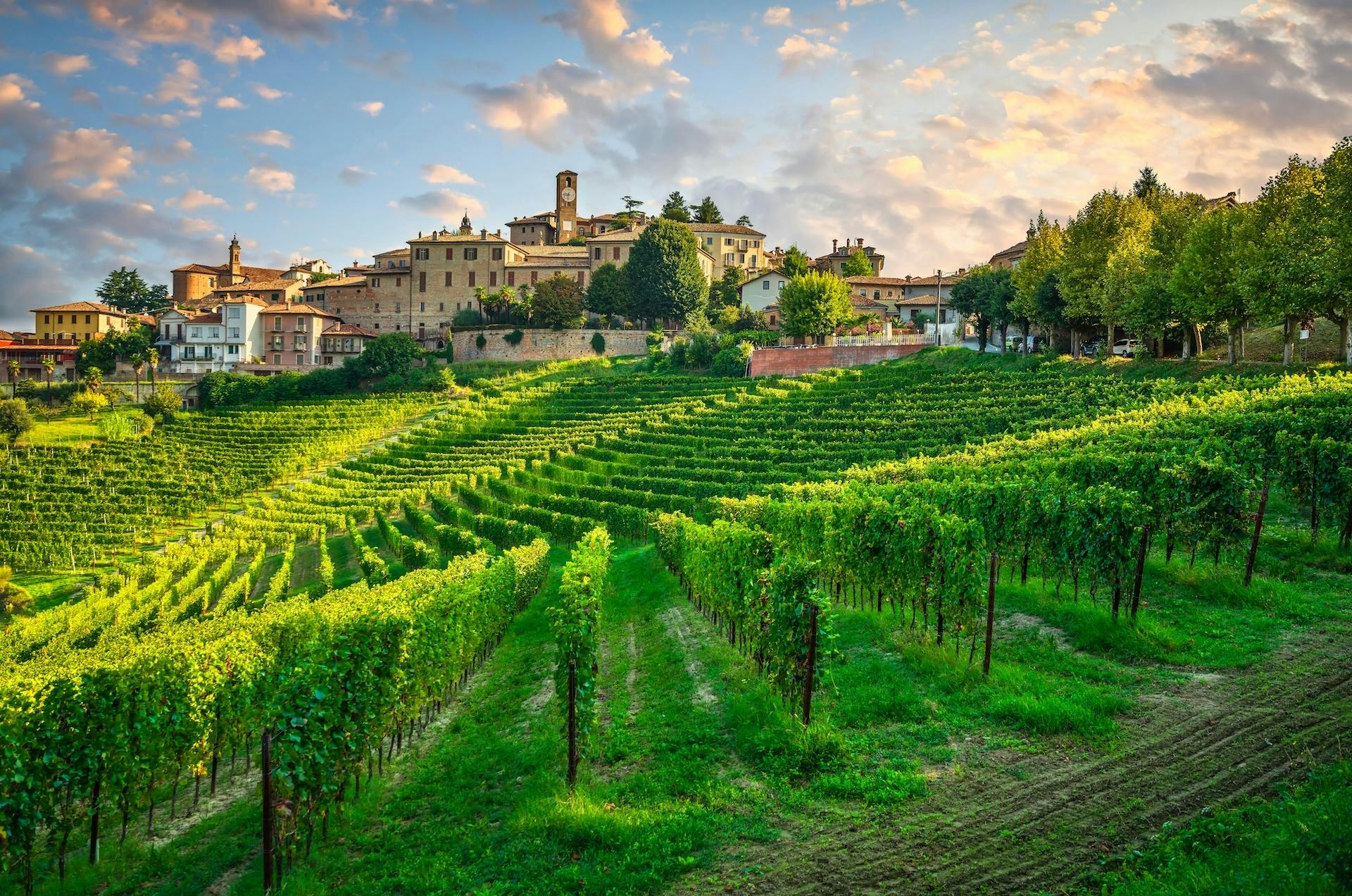 In-app videorondleiding door de betoverende Langhe-regio