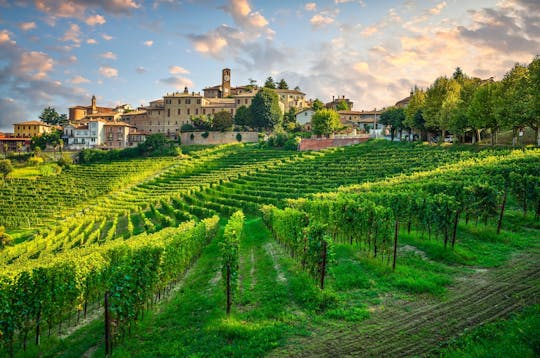 Visite guidée vidéo intégrée à l'application de la fascinante région des Langhe