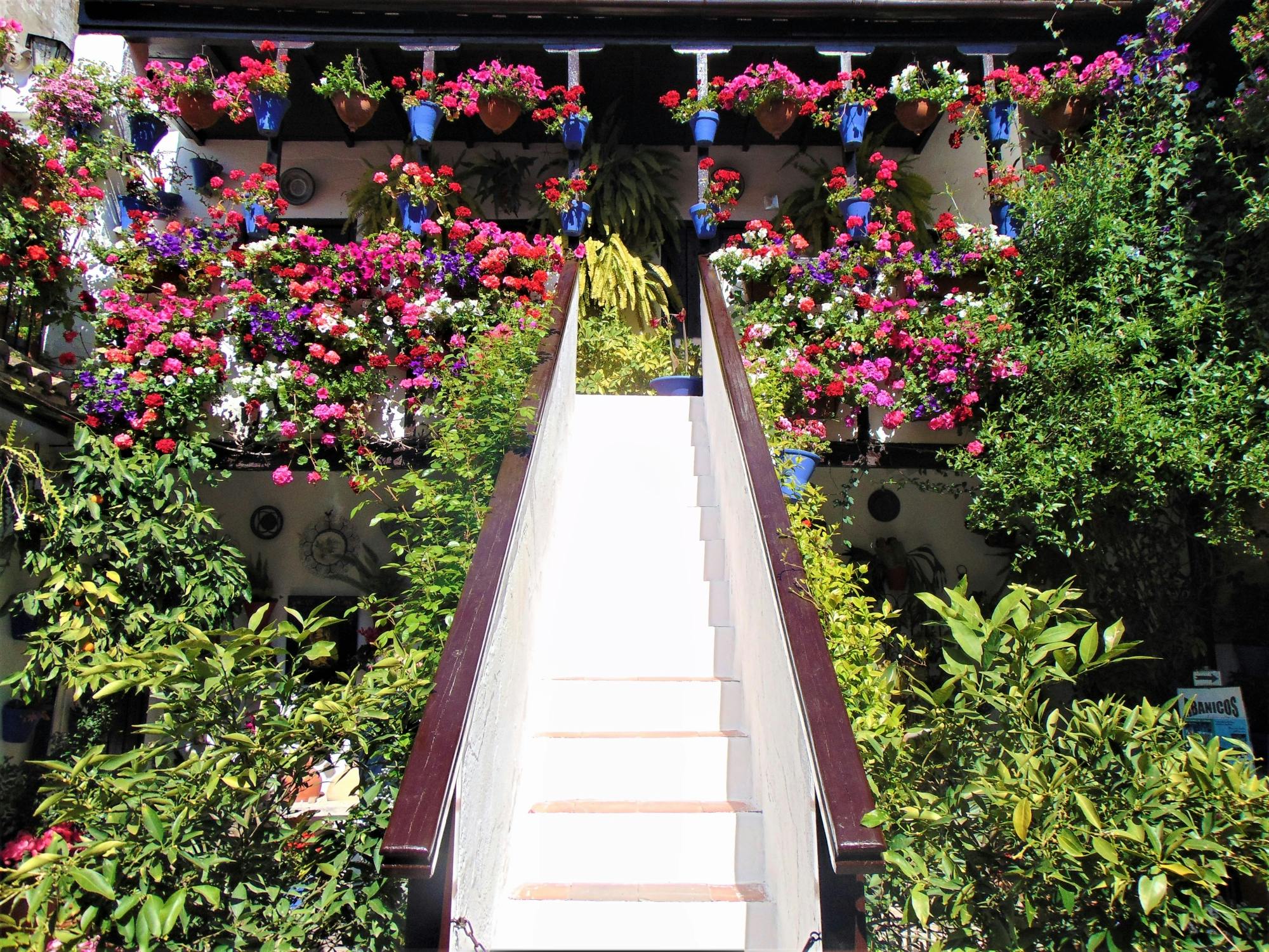 Guided Visit to the Patios of Córdoba