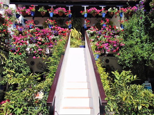 Guided Visit to the Patios of Córdoba